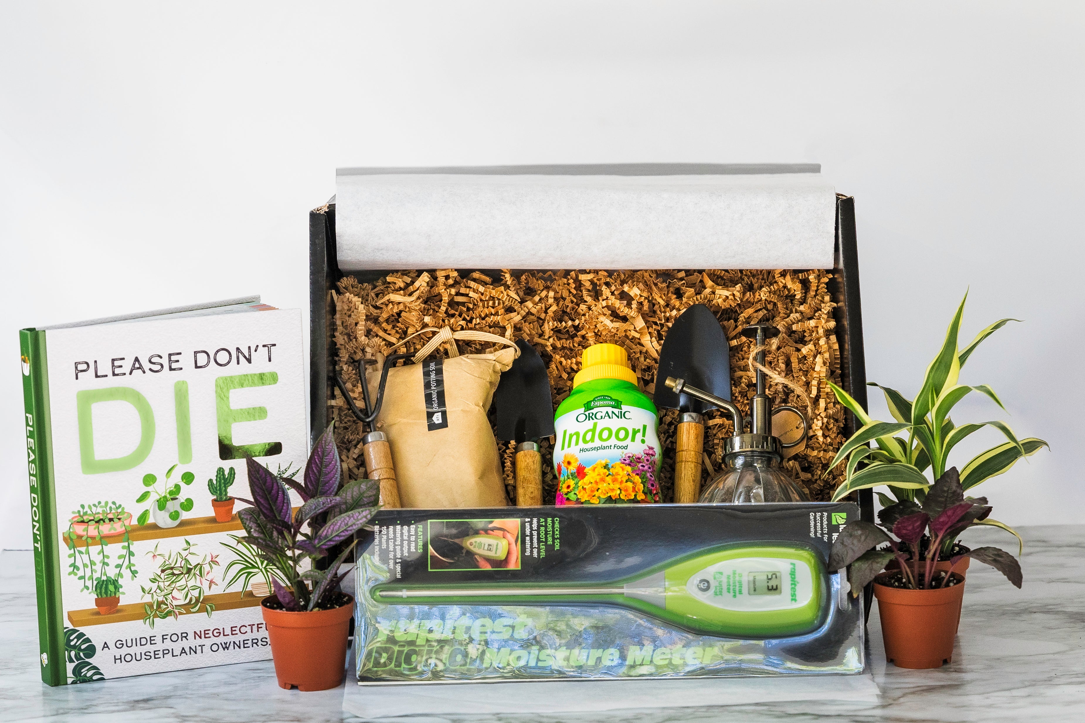 Houseplant Care Gift Box